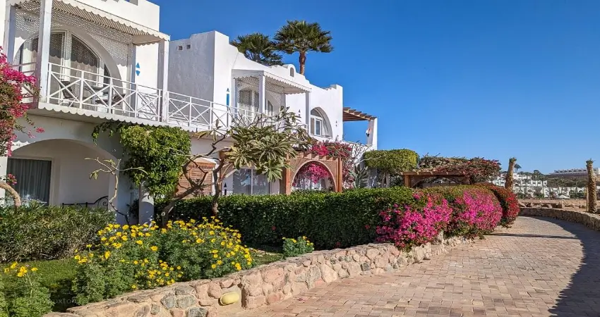 A lively Red Sea escape within one of Sharm El Sheikh's largest resort complexes view 3