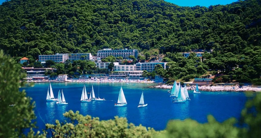 Hotel Uvala view 3