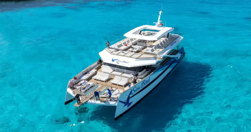 Malta & Gozo: Mediterranean Islands, Crystal Waters & Timeless Charm view 3