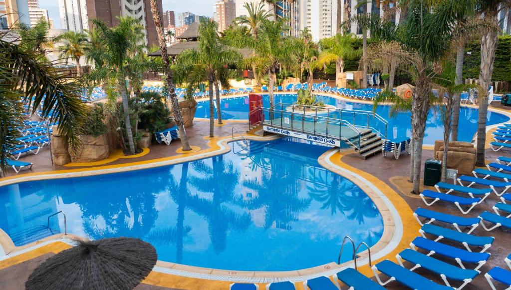 Medplaya Hotel Flamingo Oasis view 2
