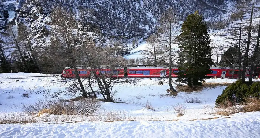Bernina Express 5