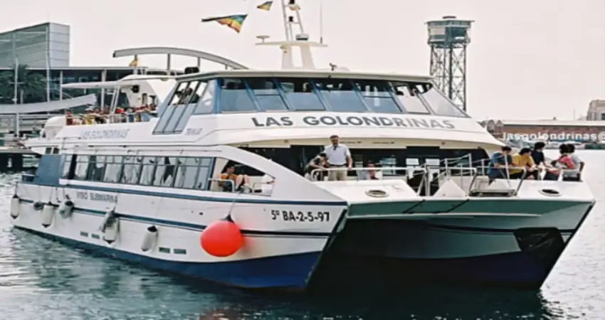 Free Excursion
