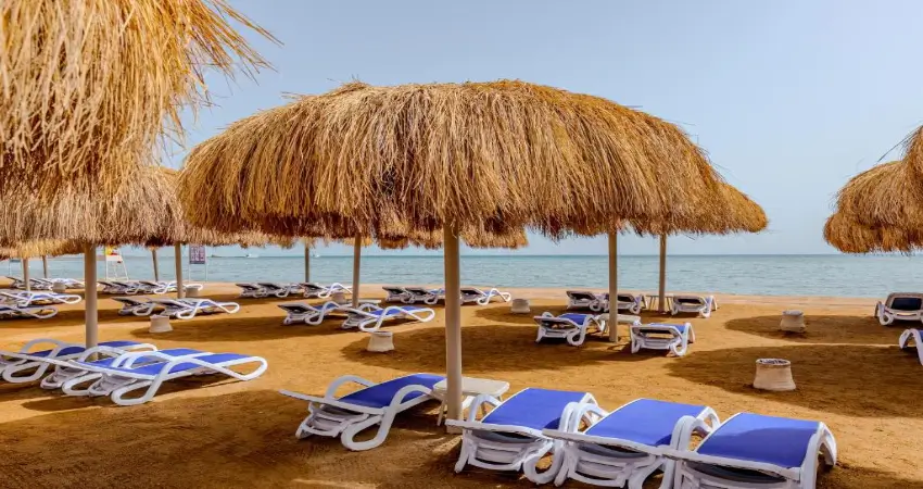 A Modern Red Sea Escape with Private Beach, Pools and Exceptional Dining view 3